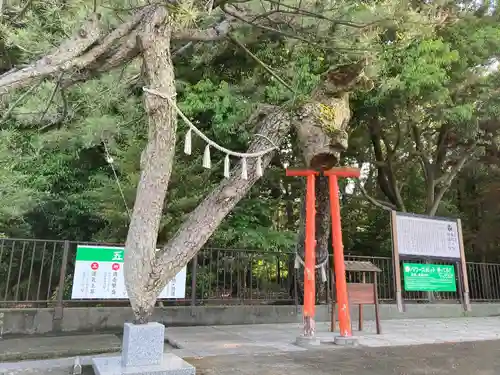 玉村八幡宮(群馬県)