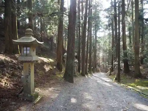 比叡山延暦寺の自然