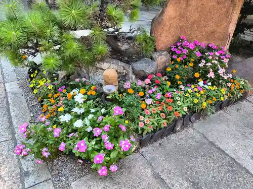 藤次寺(大阪府)