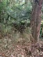 山王大権現(千葉県)