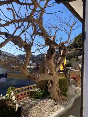 長運寺(神奈川県)