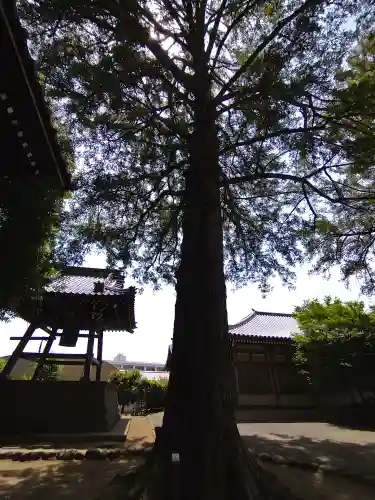 慶元寺(東京都)