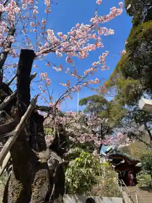 雪ケ谷八幡神社(東京都)