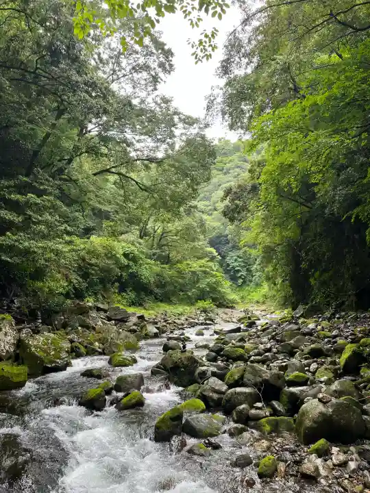 天岩戸神社の{uncategorized: "未分類", other: "その他", undefined: "問題あり", building: "その他建物", grave: "お墓", sacred_gate: "鳥居", guardian: "狛犬", statue: "像", buddha: "仏像", history: "歴史", nature: "自然", garden: "庭園", animal: "動物", pagoda: "塔", temizu: "手水舎", mountain_gate: "山門・神門", sanctuary: "本殿・本堂", subordinate: "末社・摂社", art: "芸術", scenery: "景色", jizo: "地蔵", ema: "絵馬", goshuin: "御朱印", omikuji: "おみくじ", items: "授与品その他", amulet: "お守り", goshuincho: "御朱印帳", eats: "食事", festival: "お祭り", votive_dance: "神楽", shichigosan: "七五三参", wedding: "結婚式", experience: "体験その他", initially: "初詣", around: "周辺", anti_infection: "感染症対策"}