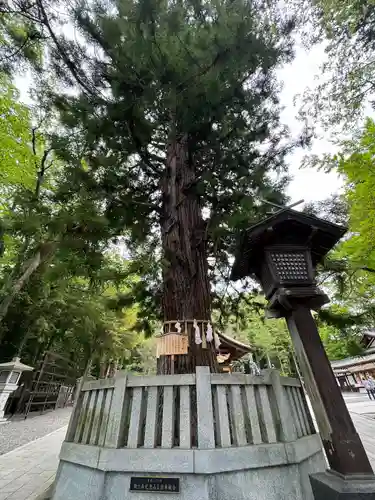 諏訪大社下社秋宮(長野県)