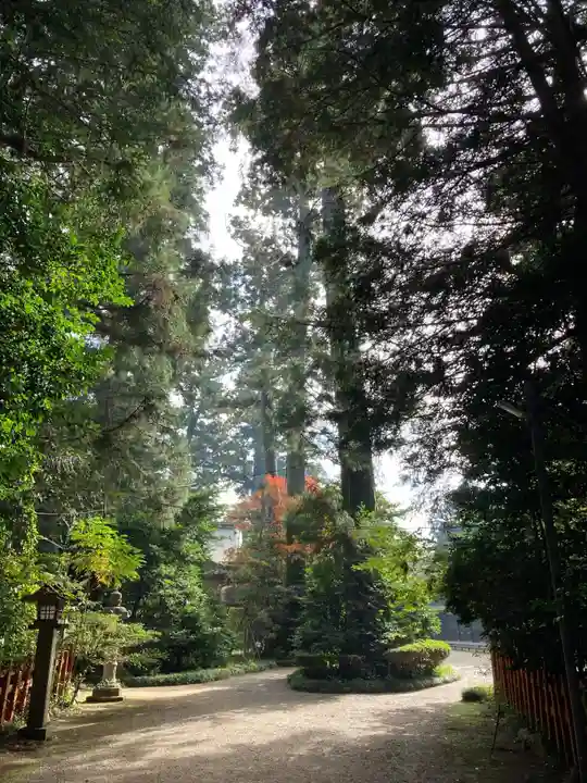 香取神宮(千葉県)