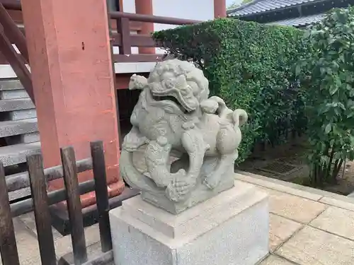 吉祥寺の狛犬