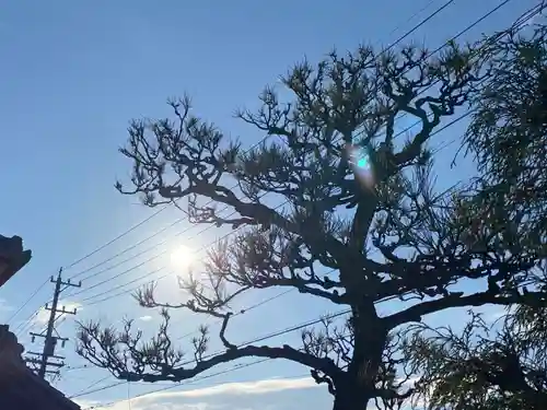 西方山極楽寺の自然