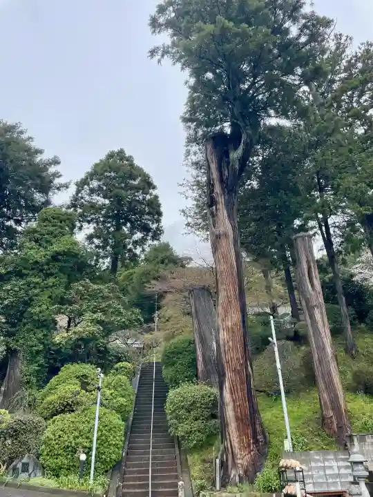 最福寺の{uncategorized: "未分類", other: "その他", undefined: "問題あり", building: "その他建物", grave: "お墓", sacred_gate: "鳥居", guardian: "狛犬", statue: "像", buddha: "仏像", history: "歴史", nature: "自然", garden: "庭園", animal: "動物", pagoda: "塔", temizu: "手水舎", mountain_gate: "山門・神門", sanctuary: "本殿・本堂", subordinate: "末社・摂社", art: "芸術", scenery: "景色", jizo: "地蔵", ema: "絵馬", goshuin: "御朱印", omikuji: "おみくじ", items: "授与品その他", amulet: "お守り", goshuincho: "御朱印帳", eats: "食事", festival: "お祭り", votive_dance: "神楽", shichigosan: "七五三参", wedding: "結婚式", experience: "体験その他", initially: "初詣", around: "周辺", anti_infection: "感染症対策"}