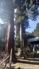 養老神社(岐阜県)