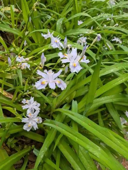 妙本寺(神奈川県)