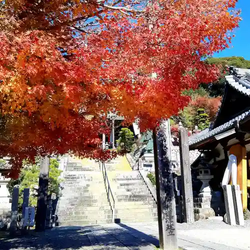 秋葉總本殿可睡斎の自然