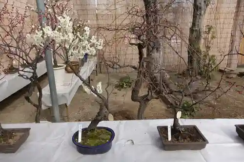 菅原天満宮（菅原神社）の周辺