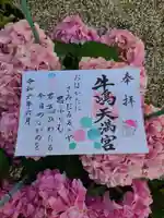平安時代の歌人「和泉式部」が詠まれた「恋ひの歌」と境内に咲いている紫陽花を飾りました。