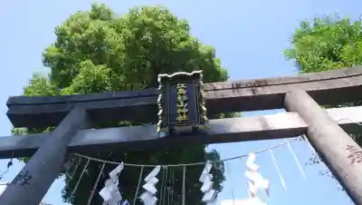 江島杉山神社の鳥居