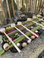 園城寺(三井寺)の手水舎