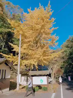 金言寺(島根県)