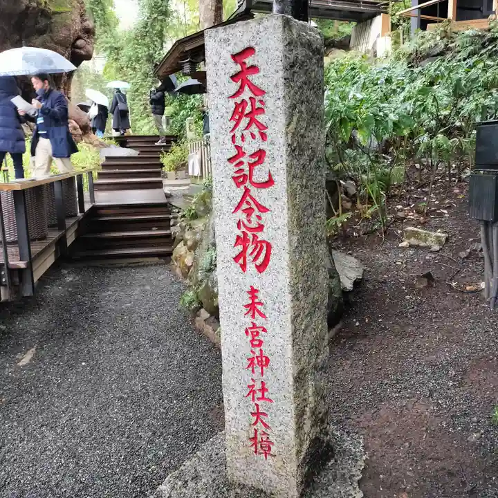 來宮神社(静岡県)