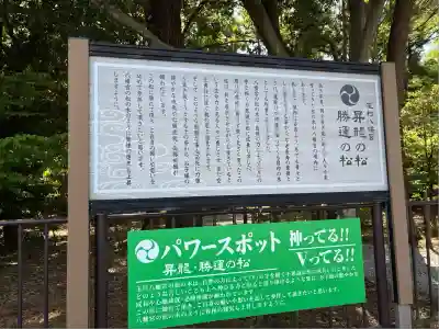 玉村八幡宮(群馬県)