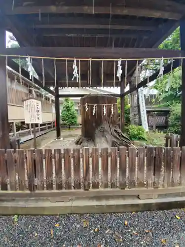 須賀神社の自然