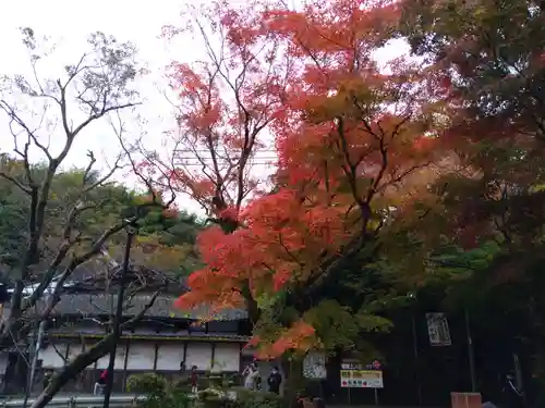 談山神社の庭園