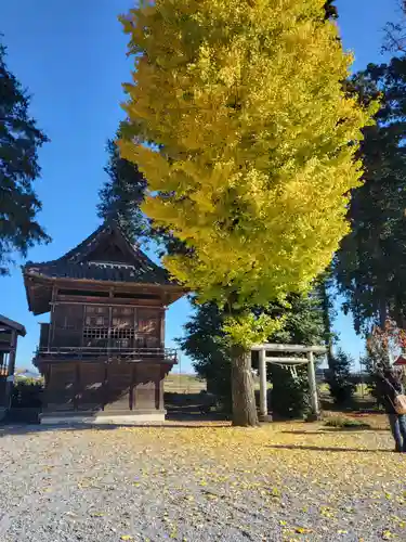 鷲宮神社の建物その他