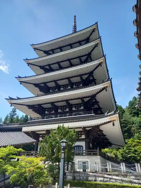 清大寺(越前大仏)(福井県)