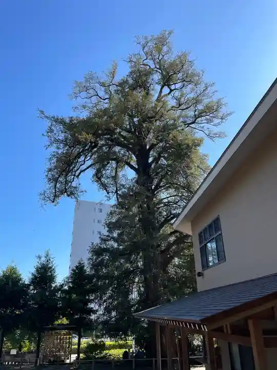 瀬戸神社(神奈川県)
