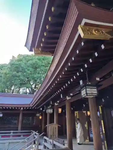 明治神宮(東京都)