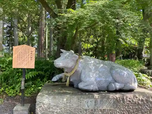 冨士御室浅間神社の狛犬