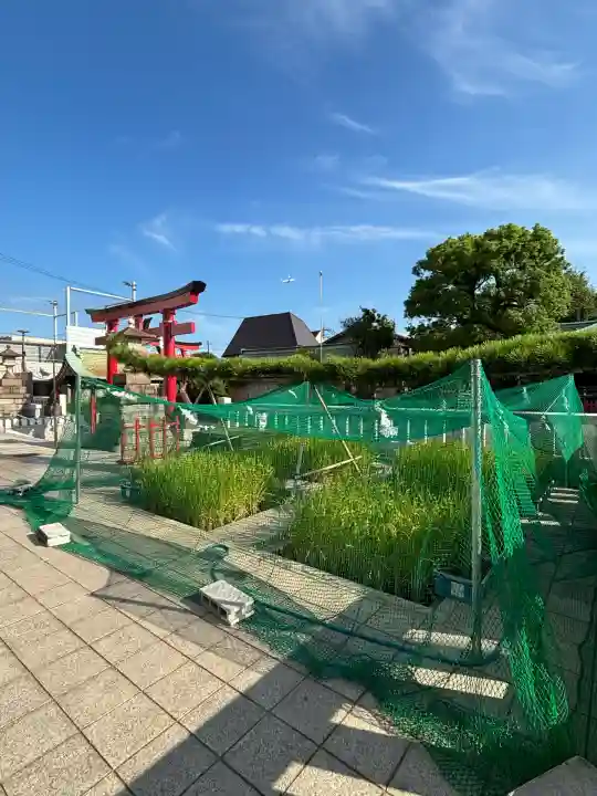 東京羽田 穴守稲荷神社(東京都)