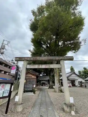 浅間神社の鳥居