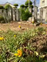 伊勢久留麻神社の自然