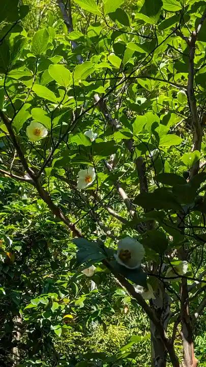 東林院(京都府)
