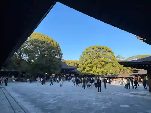 明治神宮(東京都)