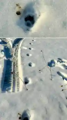 由追稲荷神社(北海道)