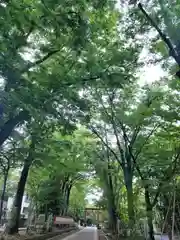 武蔵一宮氷川神社の自然