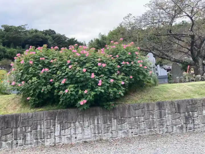 東昌寺(神奈川県)