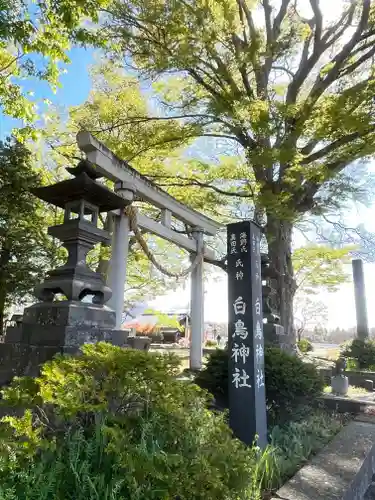 白鳥神社(長野県)