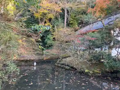 法然院(京都府)