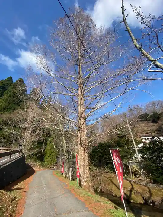 寺下観音の自然