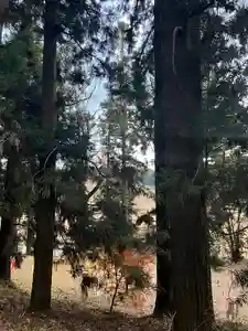 大宮温泉神社(栃木県)(2023年12月06日(水) 16時09分49秒投稿)