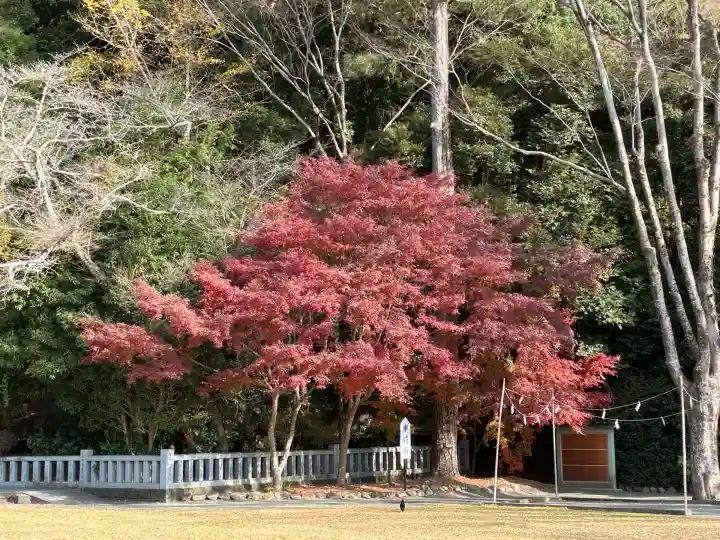 靜岡縣護國神社(静岡県)