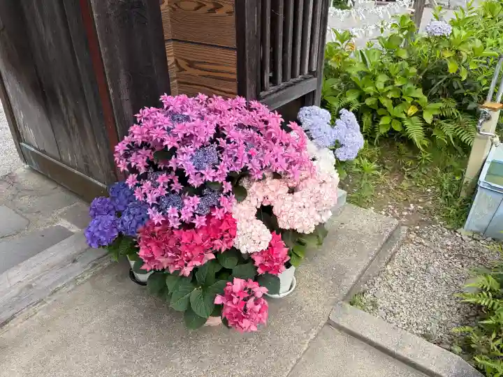 極楽寺(静岡県)