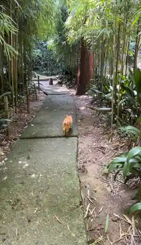 浄智寺(神奈川県)