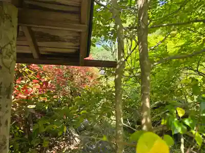 西光寺(京都府)