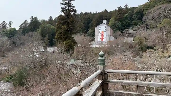 長谷寺(奈良県)