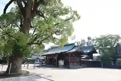 佐賀縣護國神社(佐賀県)