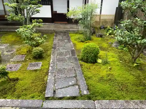 玉泉院(京都府)