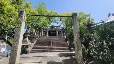 總鎮守八幡神社(愛媛県)